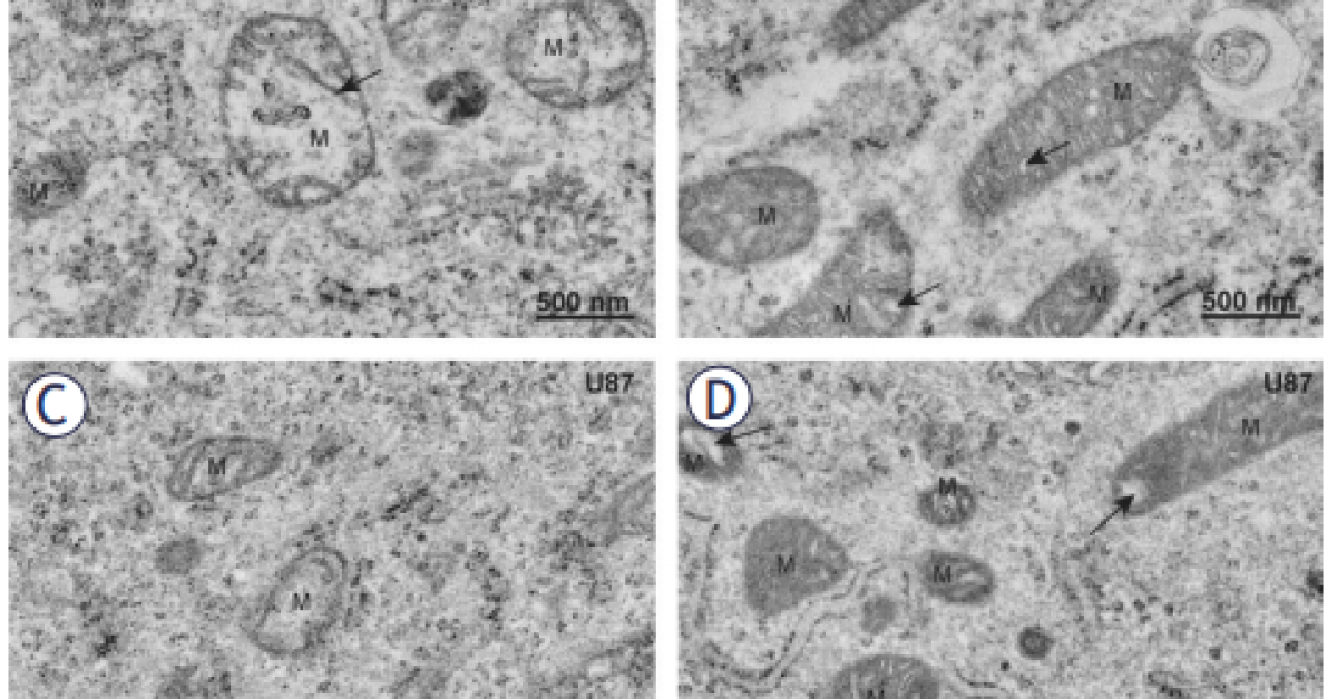 Screenshot 2026-01-07 140528