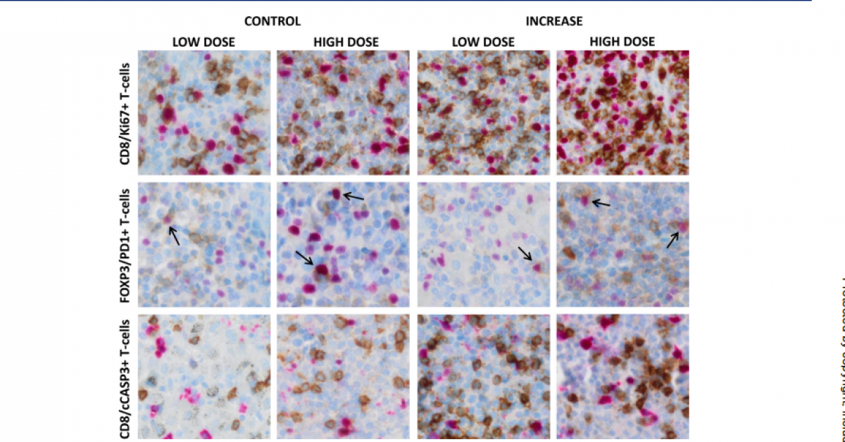 Screenshot 2026-01-07 141816