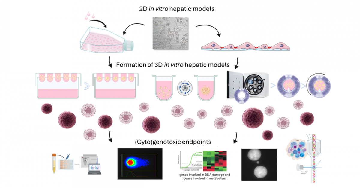 graphical abstract